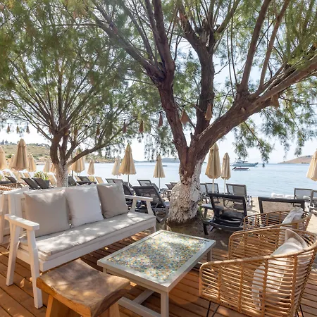 Hotel Dorman 3*