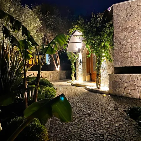 Hotel Dorman